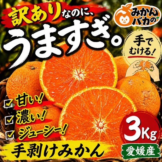 福岡県八女立花 東フルーツ みかん｜Let（レット）- 訳あり品/食品ロス