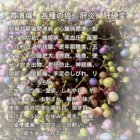 採れたて】馬ぶどう250g×12袋 1年分3kg うまぶどう 薬膳 民間療法|Let 採れたて】馬ぶどう250g×12袋 1年分3kg うまぶどう 薬膳 民間療法|Let