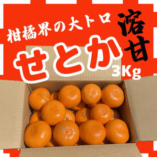 美川青果☆みかんバカ拡散中☆｜Let（レット）- 訳あり品/食品ロス削減
