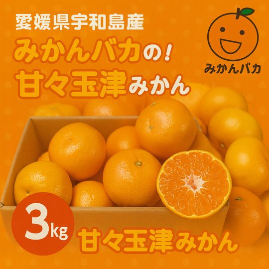 福岡県八女立花 東フルーツ みかん｜Let（レット）- 訳あり品/食品ロス