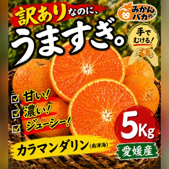 美川青果☆みかんバカ拡散中☆｜Let（レット）- 訳あり品/食品ロス削減